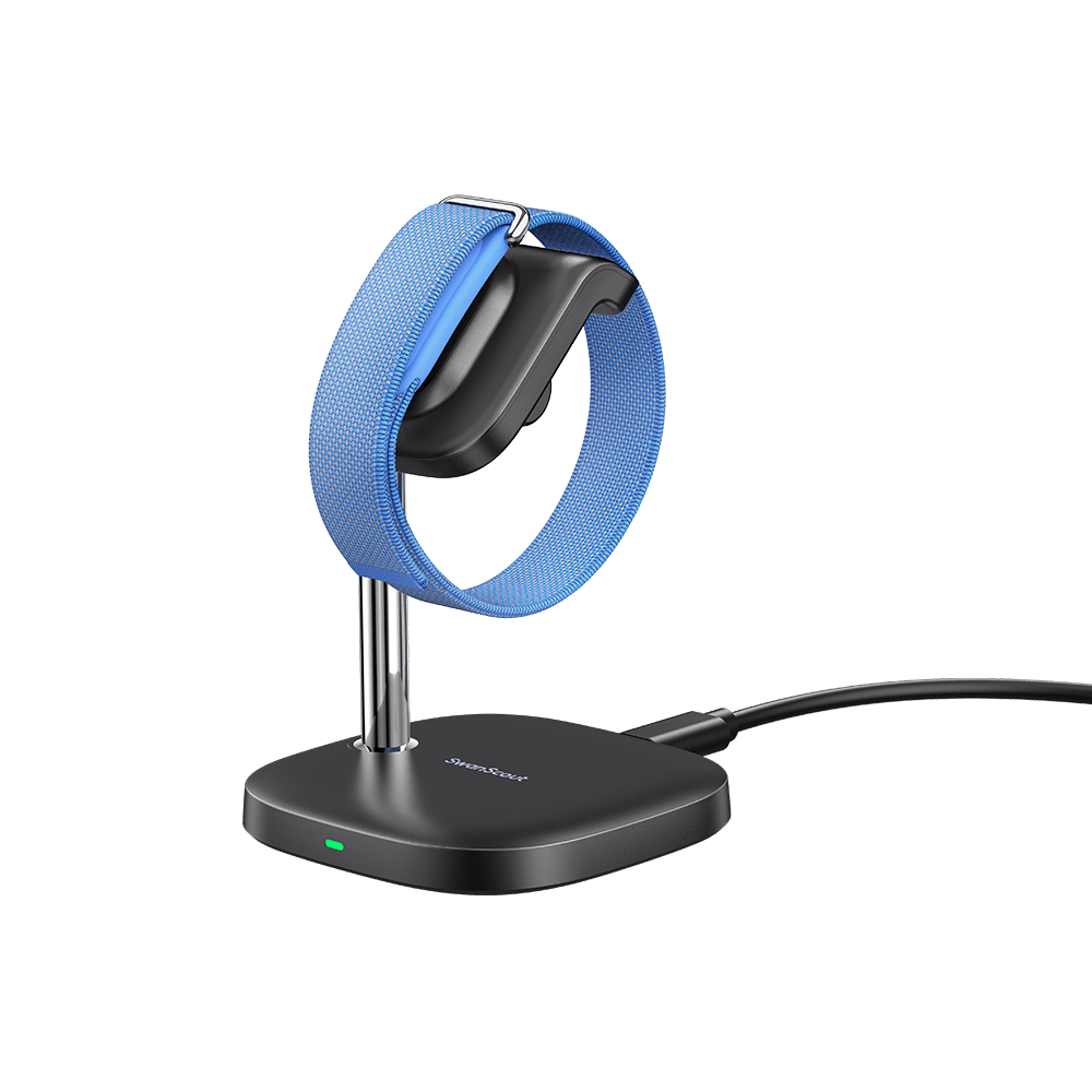 Back view of Fitbit Air supported on fitbit charger stand with SwanScout S10034FA